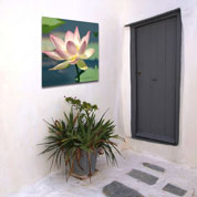 Quadro de exterior - Lotus